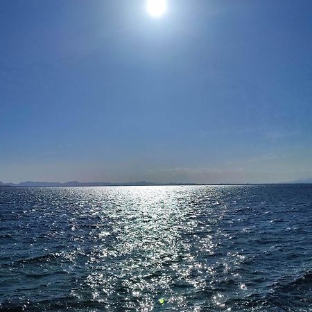 Apartamento Cerca De La Playa La Mata Ла-Мата Номер фото